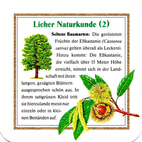 lich gi-he licher naturkunde 2b (quad185-esskastanie 2) 